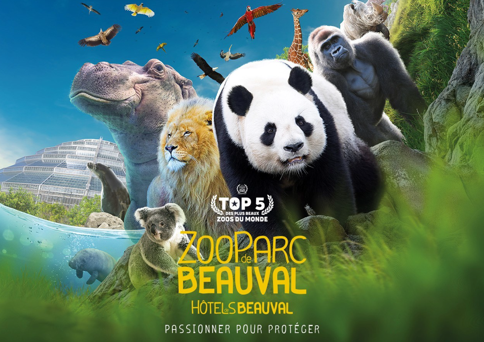Hôtels du Zoo de Beauval : séjour et week-end I Dormir à Beauval